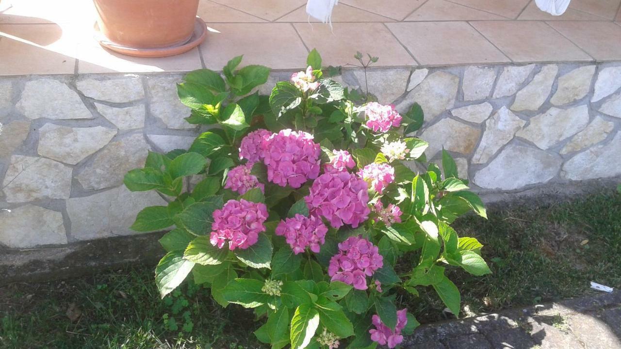 B&B Rolu Formello Εξωτερικό φωτογραφία