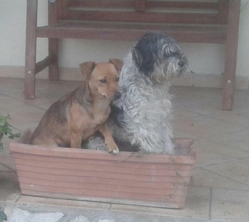 B&B Rolu Formello Εξωτερικό φωτογραφία